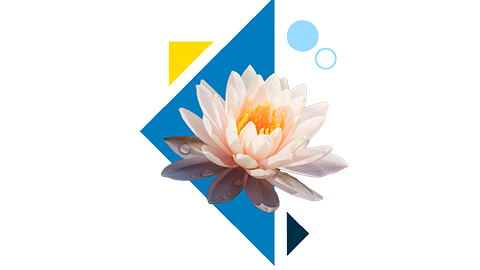 a soul specialty graphic that includes circe and triangle shapes and an image of lotus flower