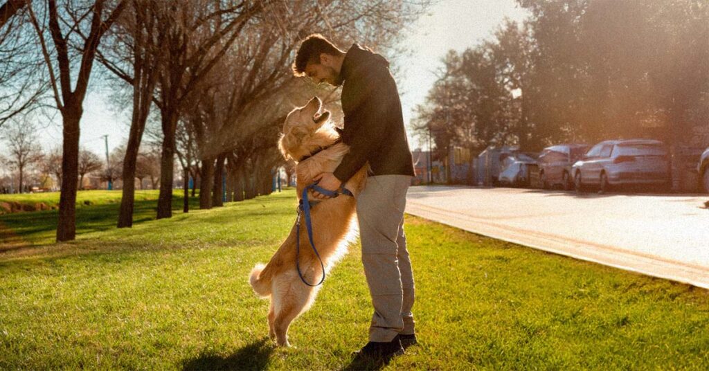 Man embracing his dog in a sunlit park, finding connection and comfort during life transition
