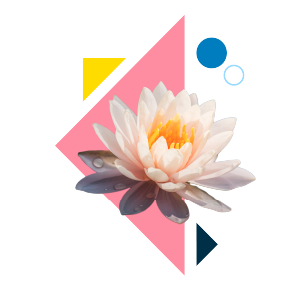empathy soul specialties icon. Geometric shapes and a lotus flower.